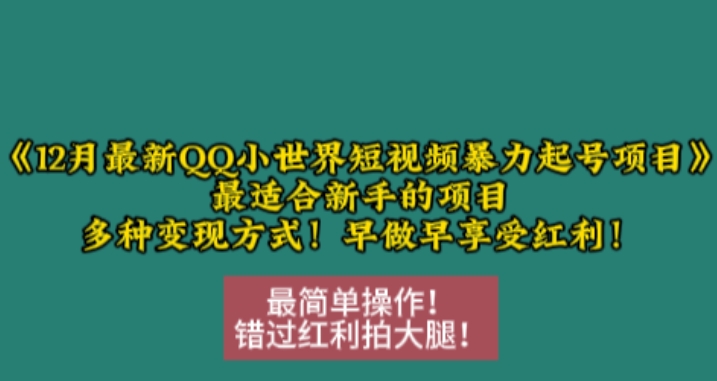 12月最新QQ小世界短视频暴力起号项目，最适合新手的项目，多种变现方式-成可创学网