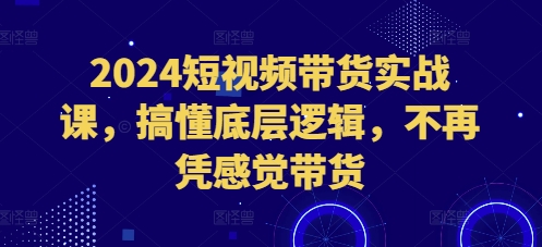 2024短视频带货实战课，搞懂底层逻辑，不再凭感觉带货-成可创学网