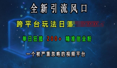 全新引流风口，跨平台玩法日入上k，单日狂揽200+精准创业粉，一个被严重忽略的视频平台-成可创学网