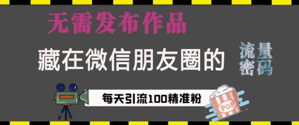 藏在微信朋友圈的流量密码，无需发布作品，单日引流100+精准创业粉【揭秘】-成可创学网