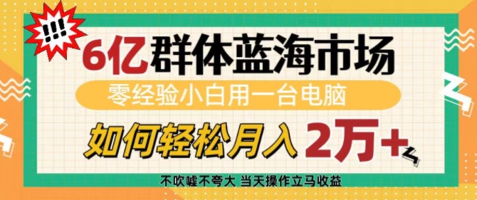 6亿群体蓝海市场，零经验小白用一台电脑，如何轻松月入过w【揭秘】-成可创学网