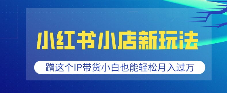 小红书小店新玩法，蹭这个IP带货，小白也能轻松月入过W【揭秘】-成可创学网