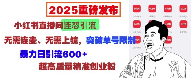 2025重磅发布：小红书直播间连怼引流，无需连麦、无需上镜，突破单号限制，暴力日引流600+-成可创学网