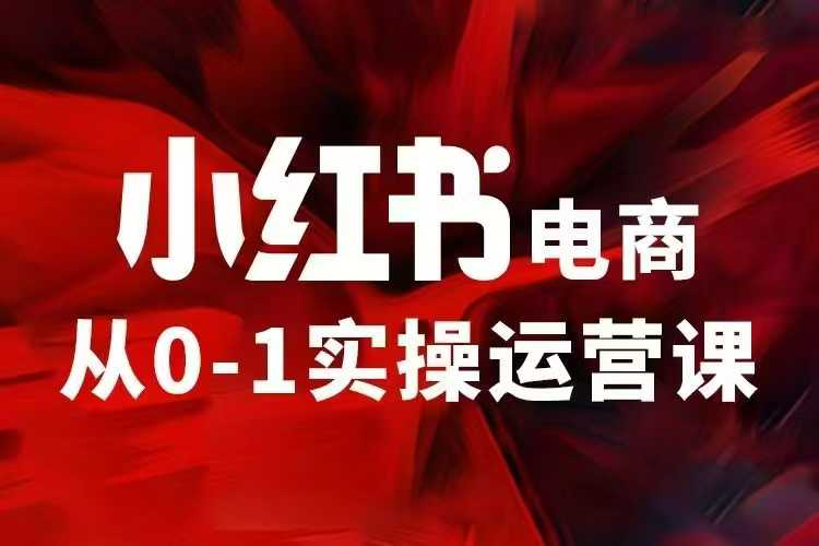 小红书电商运营，97节小红书vip内部课，带你实现小红书赚钱-成可创学网