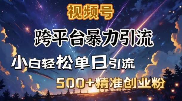 跨平台暴力引流，私域完美闭环，日引500+精准创业粉-成可创学网