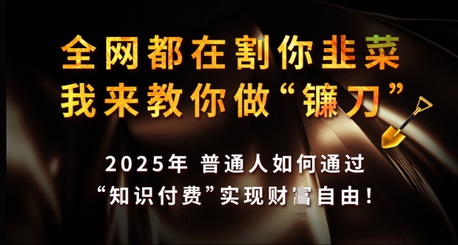 全网都在割你韭菜，我来教你做镰刀，2025年普通人如何通过 知识付费 实现财F自由【揭秘】-成可创学网