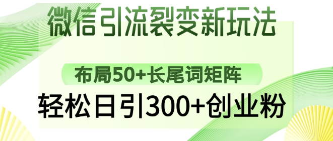 微信引流裂变新玩法：布局50+长尾词矩阵，轻松日引300+创业粉-成可创学网