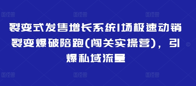 裂变式发售增长系统1场极速动销裂变爆破陪跑(闯关实操营)，引爆私域流量-成可创学网