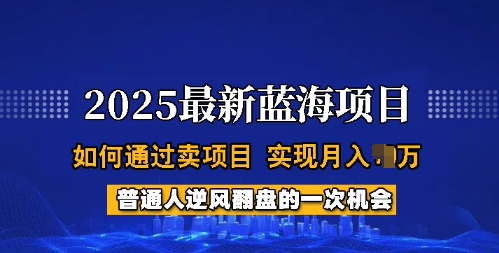 2025蓝海项目，普通人如何通过卖项目，实现月入过W，全过程【揭秘】-成可创学网